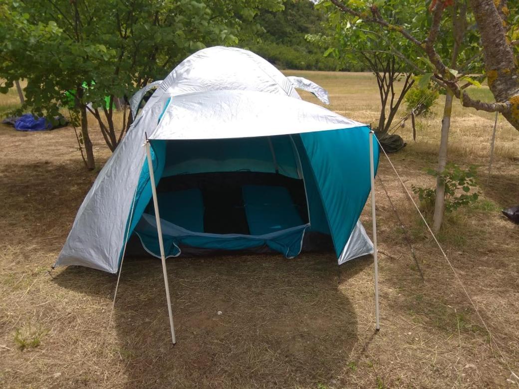 Отель Albturist Ecocamping Permet & Outdoor Sports Center Номер фото